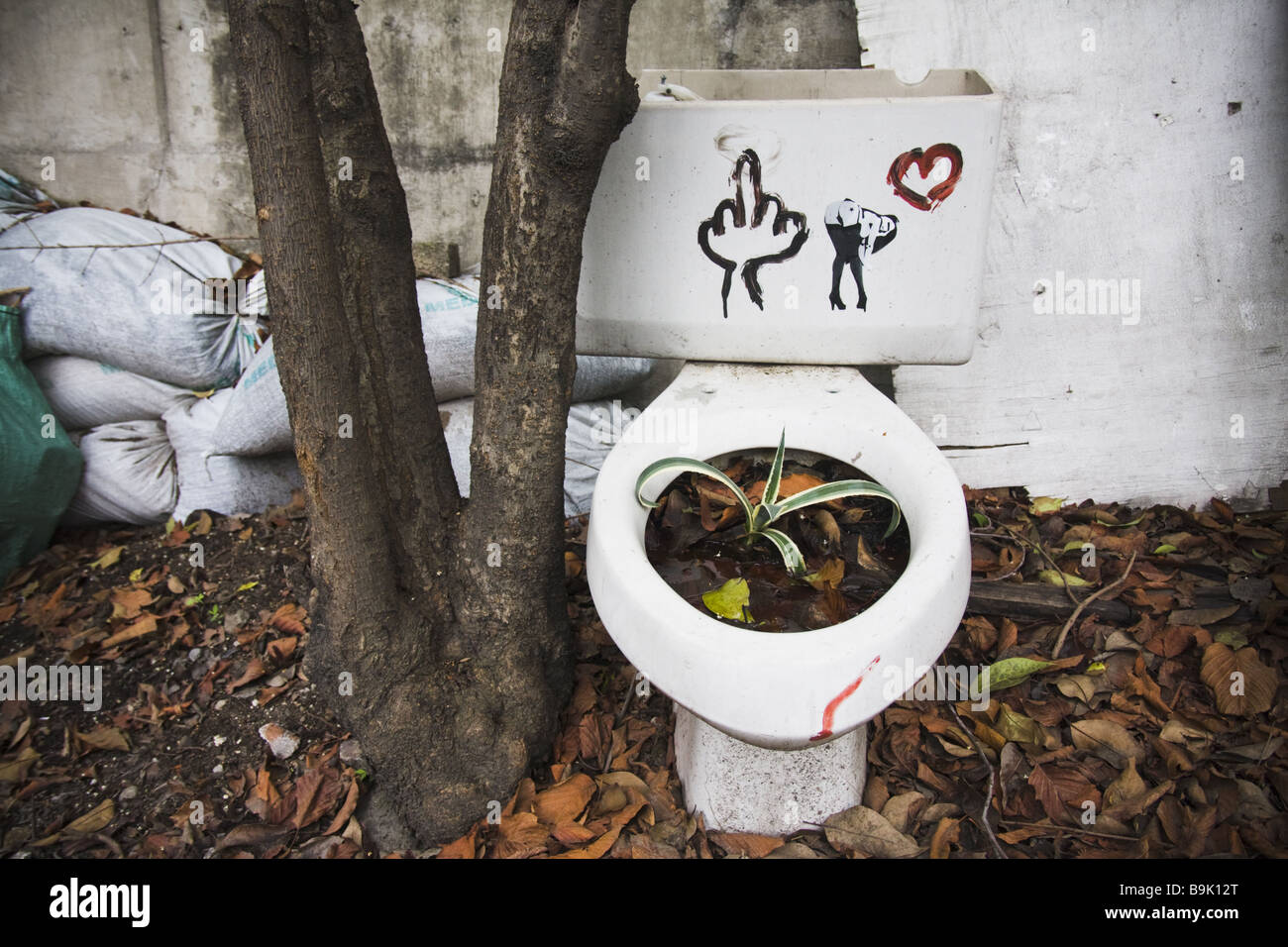 Eine Pflanze wächst aus einem WC-Sitz als Pflanzer in Mexico City, Mexiko. Stockfoto