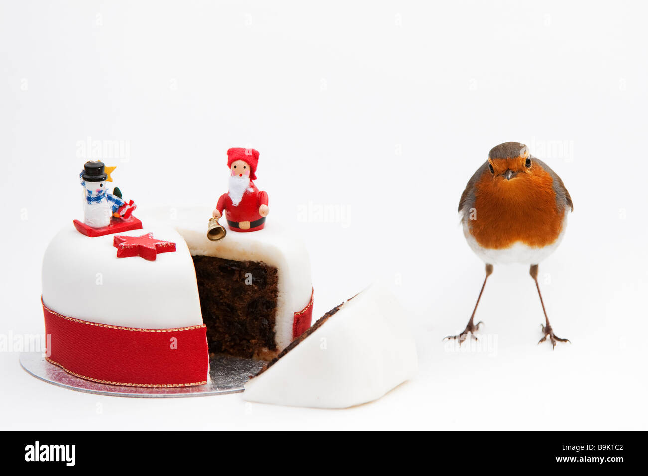 Robin und Weihnachtskuchen auf weißem Hintergrund Stockfoto