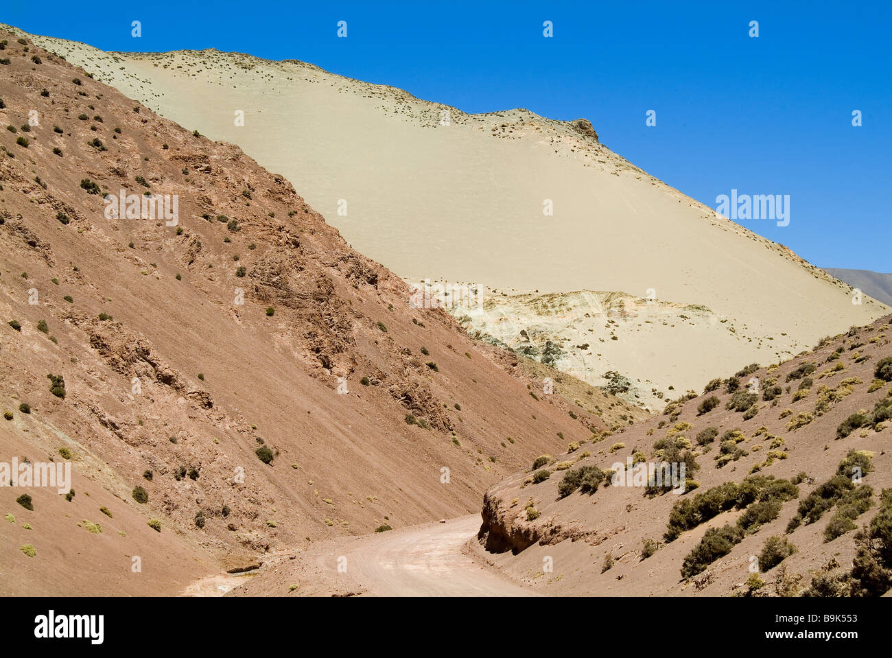 Reserva Provincial Las Vicuñas und der Laguna Brava hohen Anden Argentinien Stockfoto