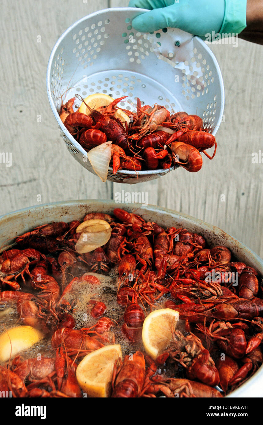 USA, Mississippi, Vicksburg, Langusten Festival auf dem Mississippi, Langusten, Grillen Stockfoto