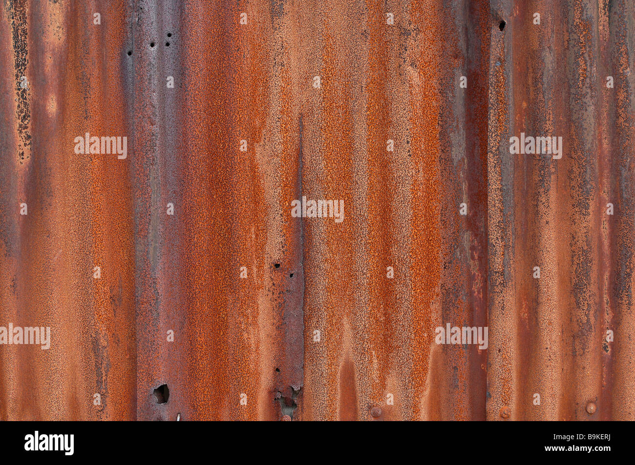 Rost Wellblech rostigen Detail der roten Texturen und zeigt die Wellen im Metall schaffen einen abstrakten Hintergrund Stockfoto