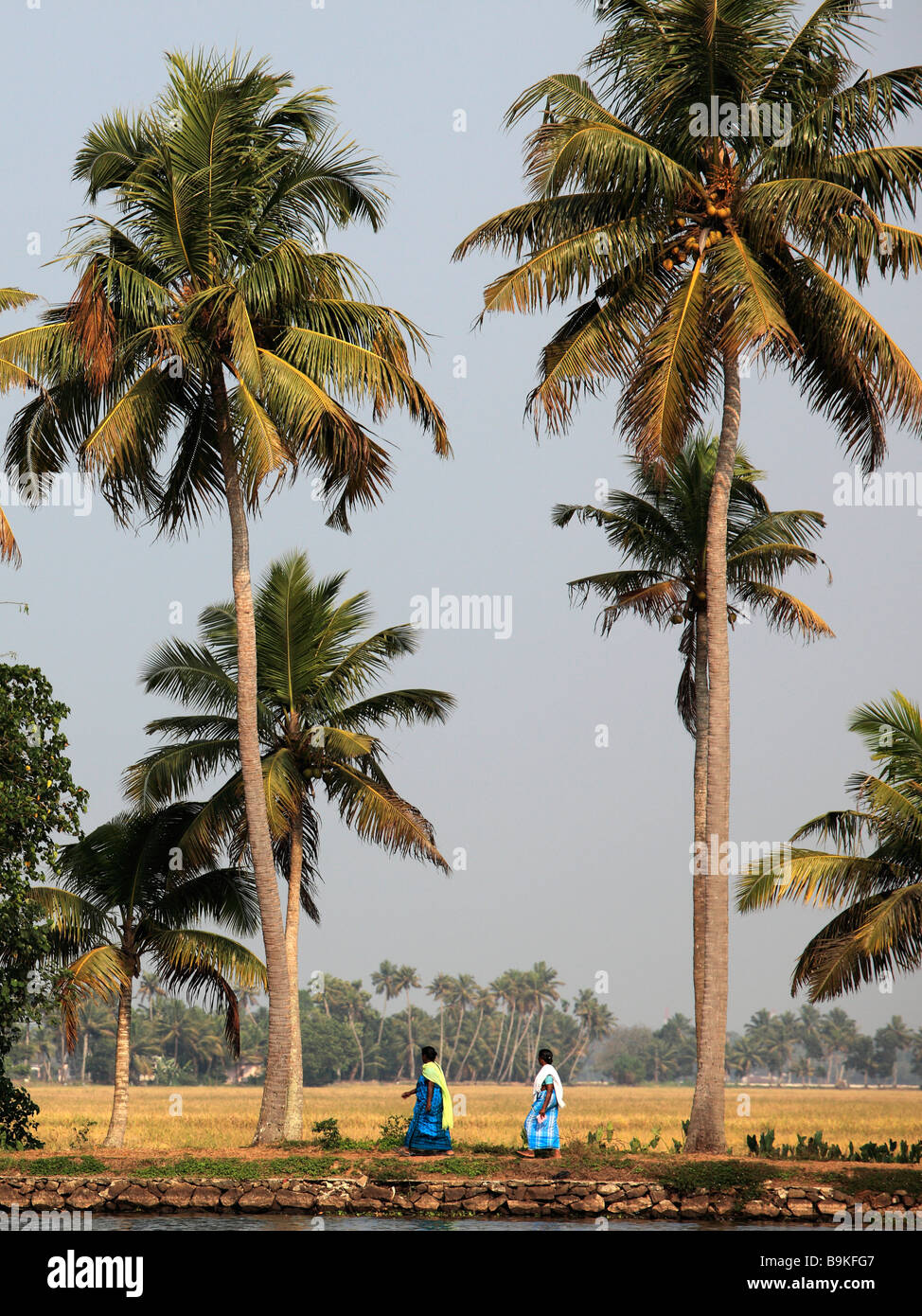 Indien Kerala Backwaters Landschaft Palmen Menschen Stockfoto