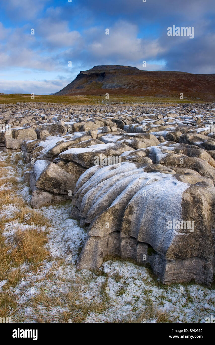 Die weiße Narbe Kalkstein Pflaster und Ingleborough Berg in der Yorkshire Dales National Park Stockfoto