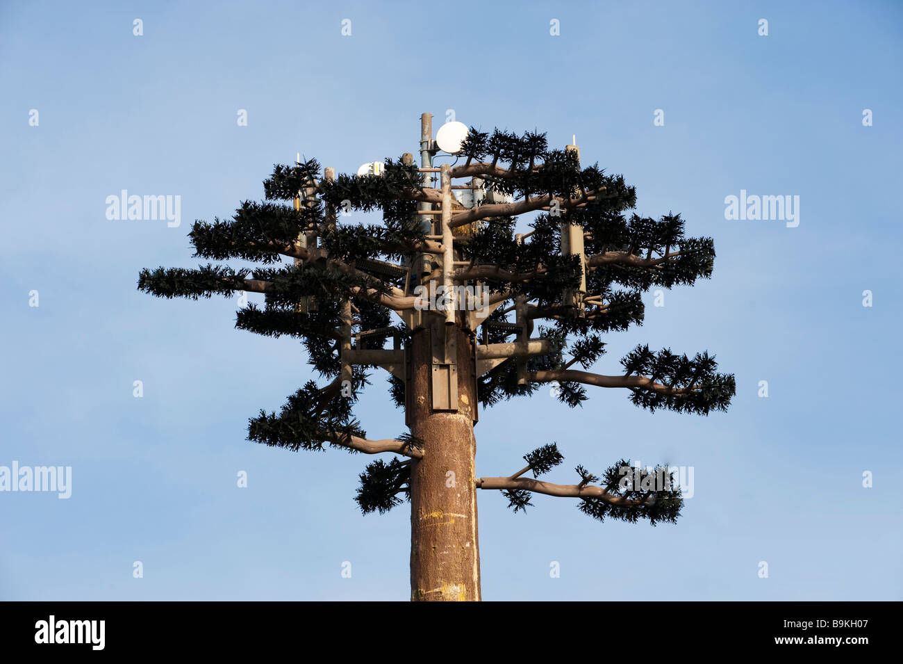 Handy-Mast wie ein Baum Stockfoto
