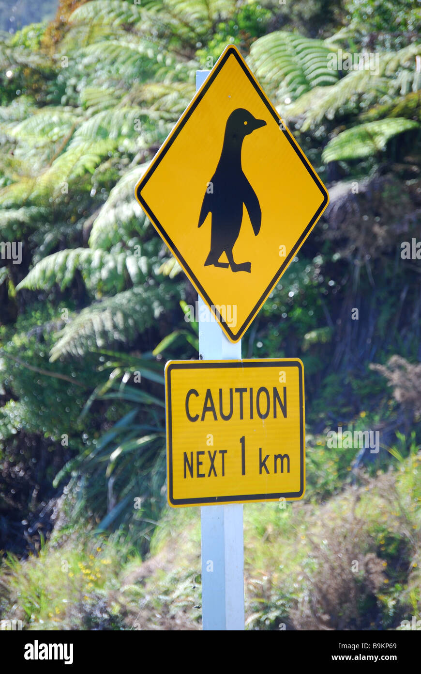 Pinguin-Straßenschild, Paparoa National Park, West Coast, Südinsel, Neuseeland Stockfoto
