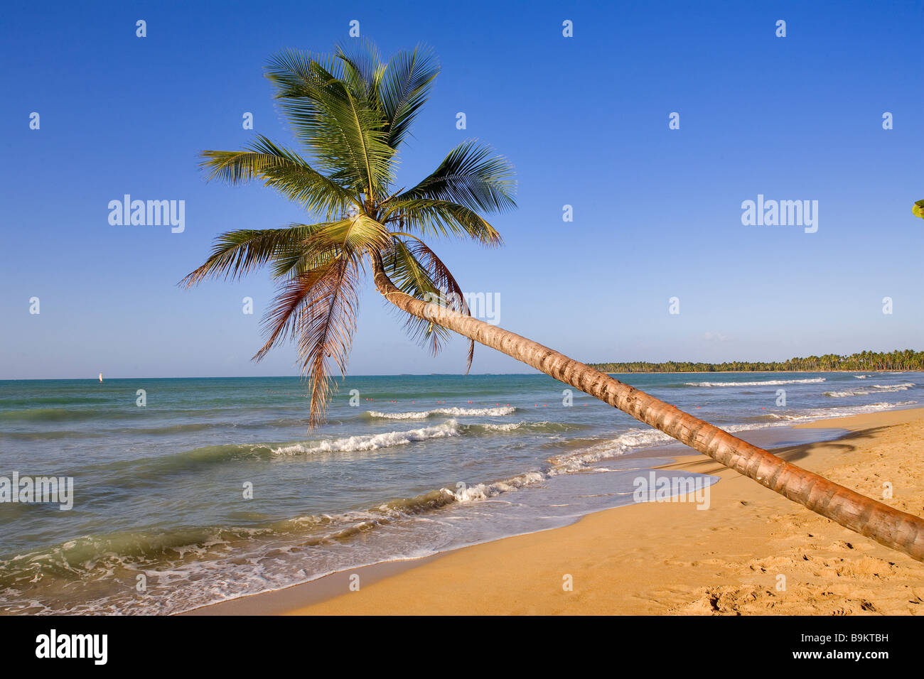 Dominikanische Republik, Provinz Samana, Las Terrenas Strand Stockfoto
