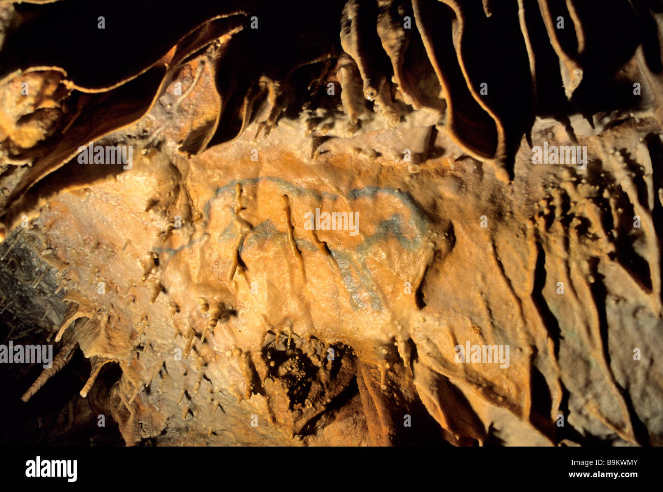 Frankreich, Dordogne, Perigord Vert, Villars, Villars-Höhle, Altsteinzeit zeichnen bezeichnet das kleine blaue Pferd 17000 Jahre datiert Stockfoto