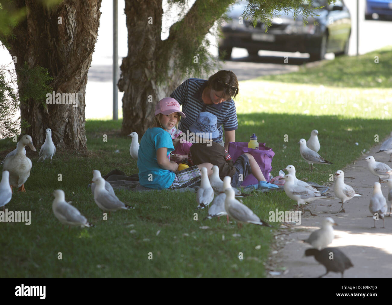 Mutter und Kinder sind ein Picknick im Schatten eines Baumes, umgeben von Vögel Stockfoto