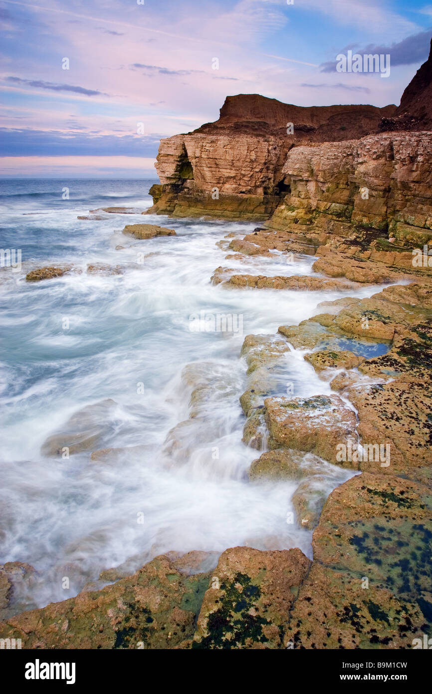 Abend in Thornwick Bay in der Nähe von Flamborough Head an der North Yorkshire Küste Bilder aus dem Monat August Stockfoto