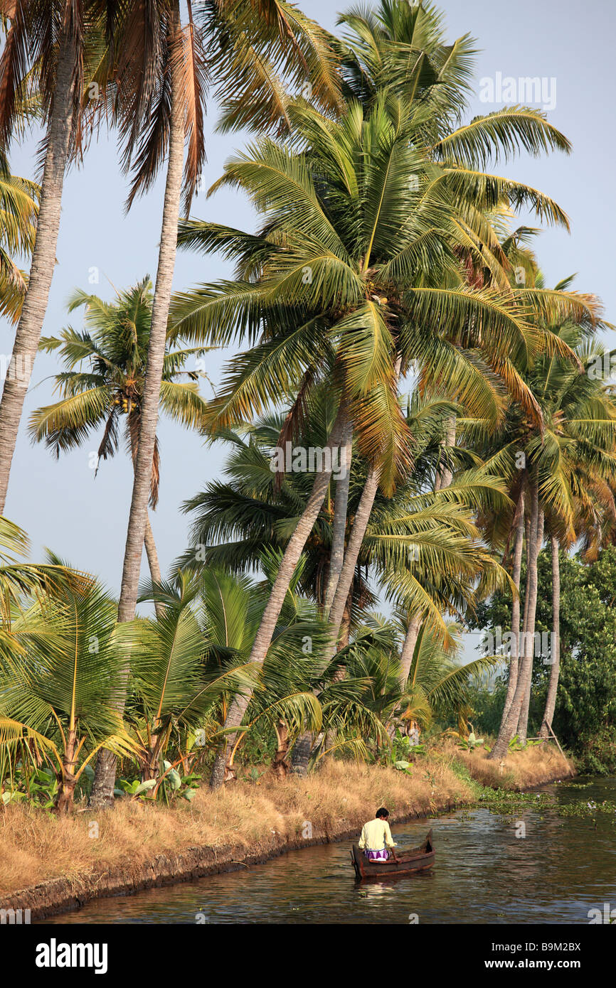 Indien Kerala Backwaters Mann in ein kleines Boot-Palmen Stockfoto