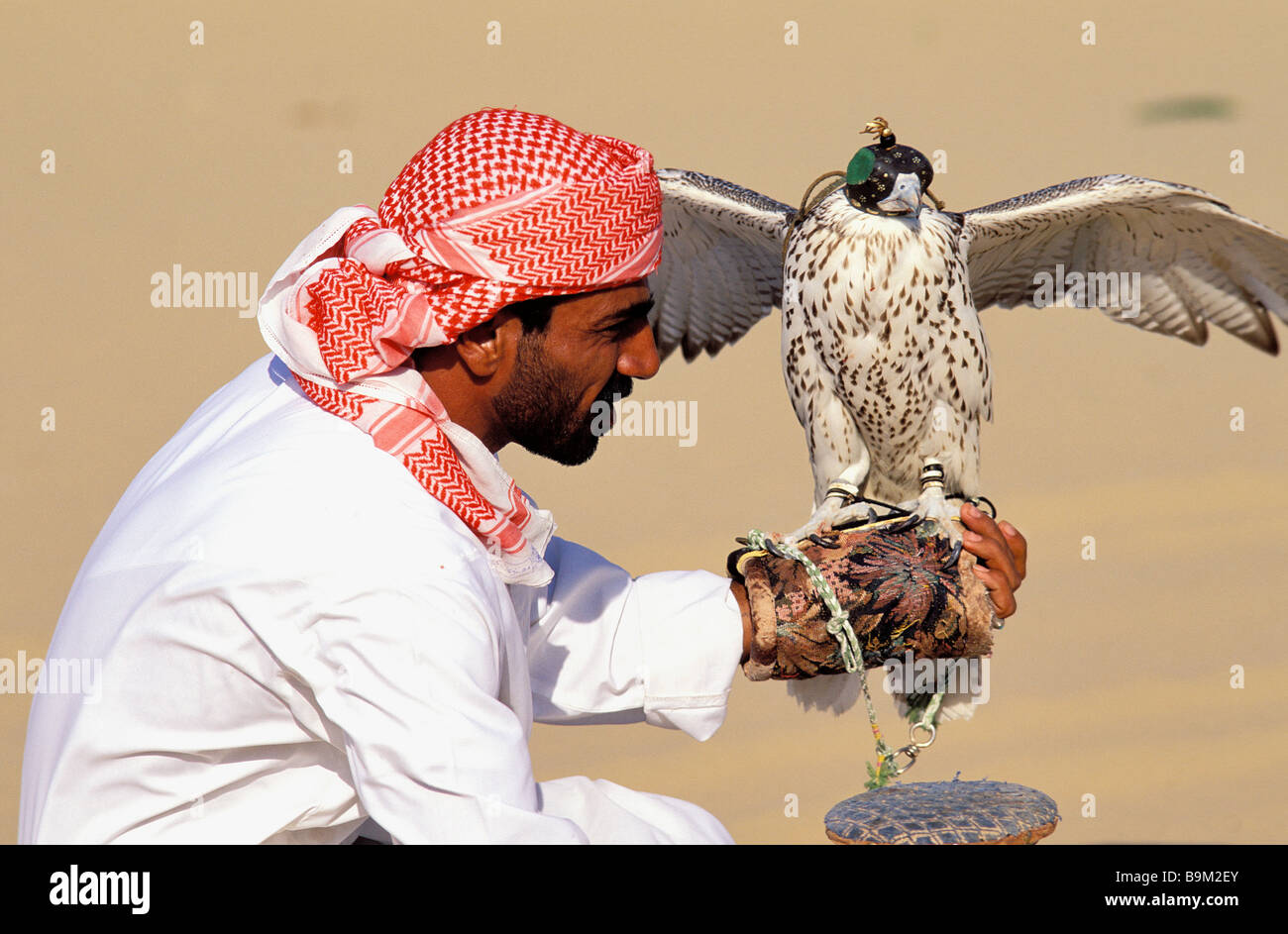 Vereinigte Arabische Emirate, Dubai, eagle, Jagd und seinem trainer Stockfoto