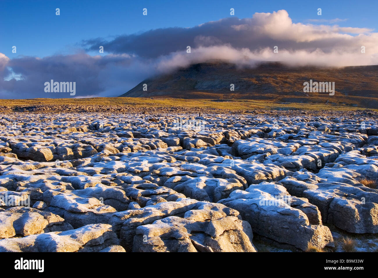 Die weiße Narbe Kalkstein Pflaster und Ingleborough Berg in der Yorkshire Dales National Park Stockfoto