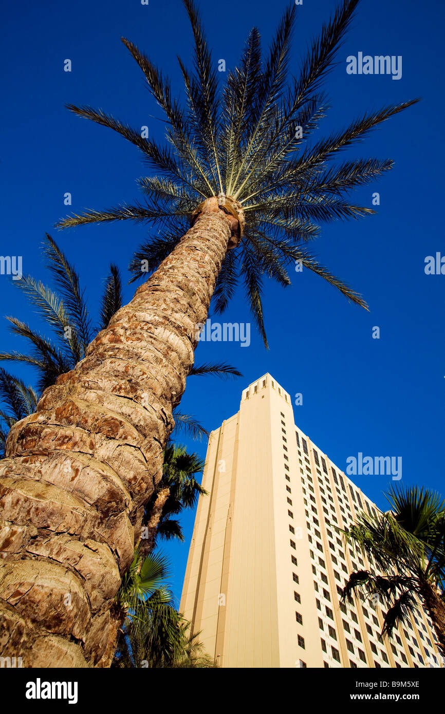 USA, Nevada, Las Vegas, The Strip, Hilton Grand Vacations Club Stockfoto