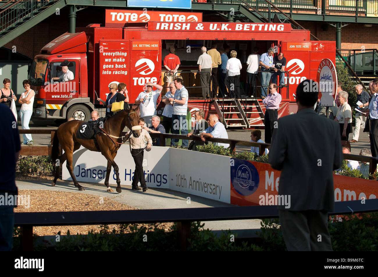 Irland, County Meath, Ratoath, Fairyhouse Racecourse, Pferdeausstellung vor dem Rennen Stockfoto