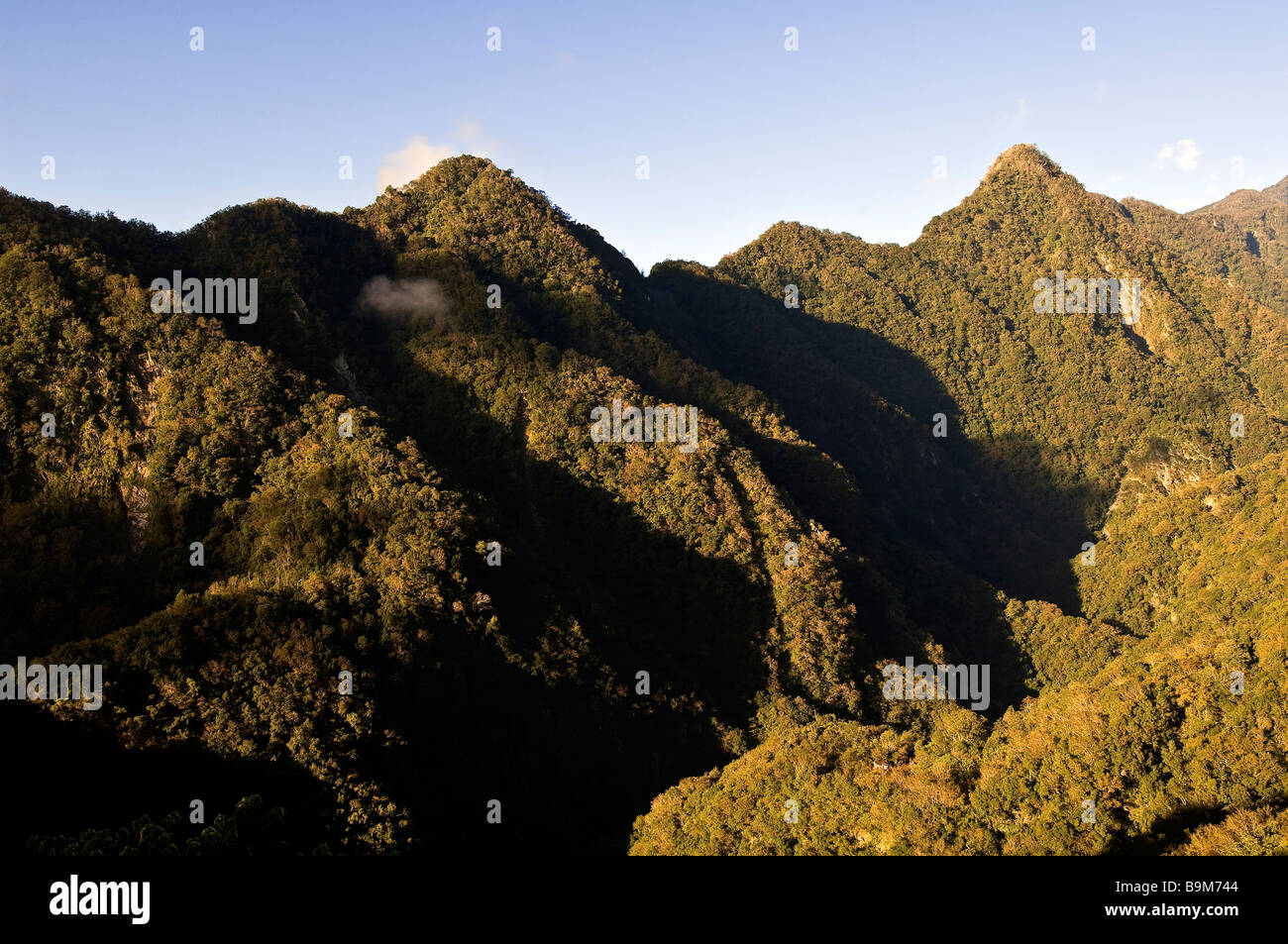 Taiwan, Hualien Bezirk, Taroko-Nationalpark, bewaldete Berge, die auf 3000 m hohen Gipfeln können Stockfoto