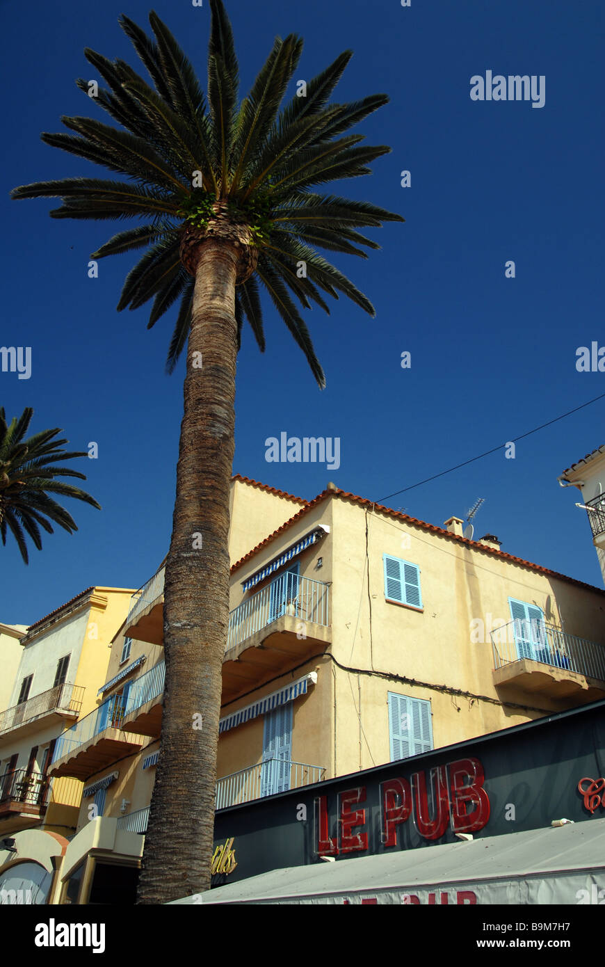 Calvi, Corsica. Meer-Gebäude / Palme Stockfoto