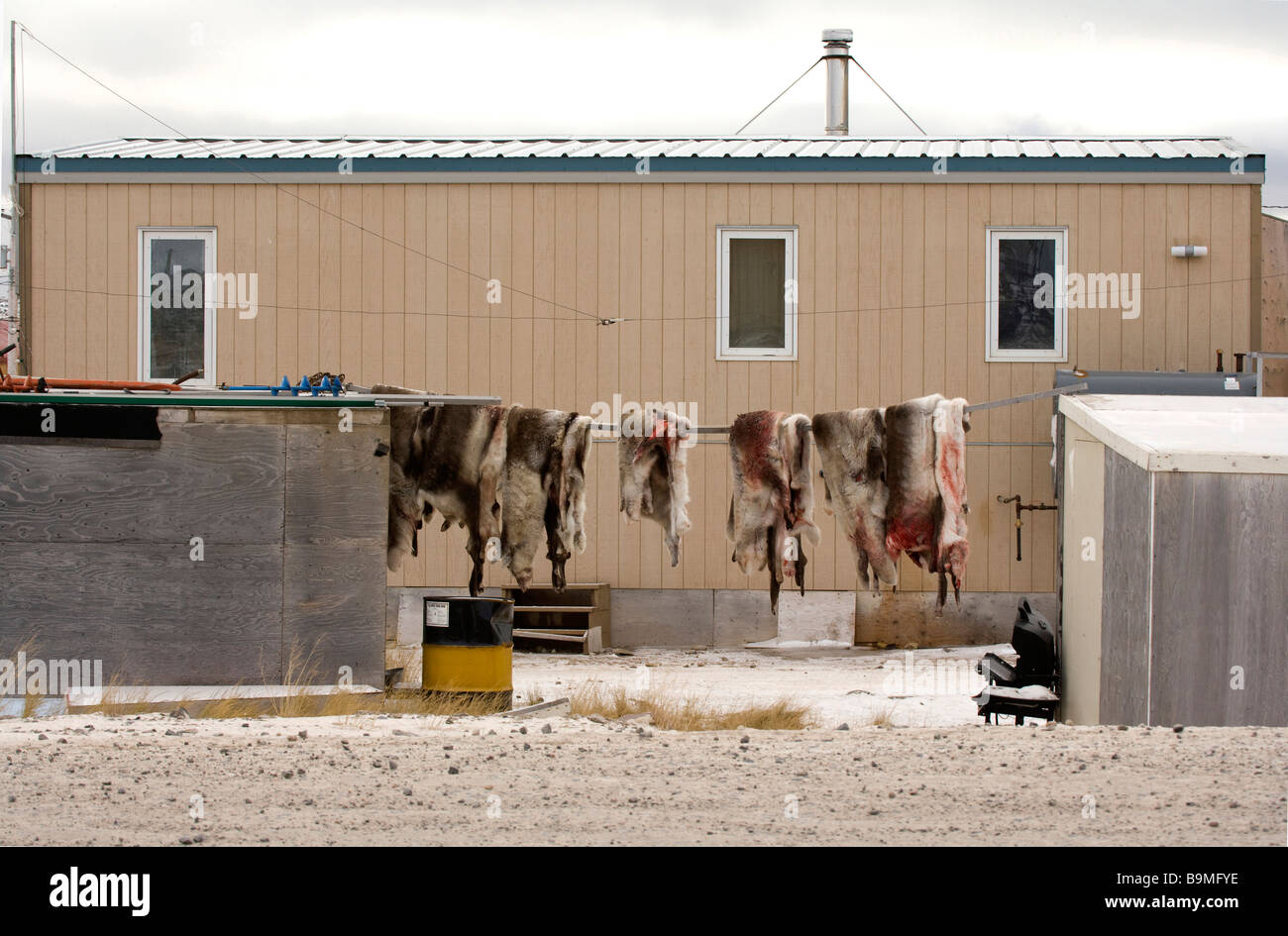 Zeile der Hirsche skins hängenden außerhalb des Gebäudes in Taloyoak inuitsiedlung Nunavut, kanadische Arktis, Kanada Stockfoto