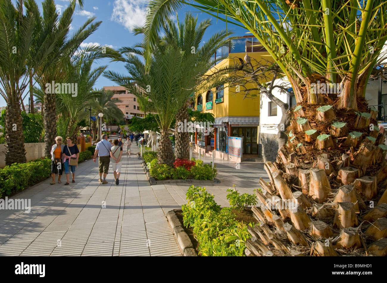 Sonnigen Fußgänger Palm Allee Küstenweg in Los Cristianos-Teneriffa-Kanarische Inseln-Spanien Stockfoto