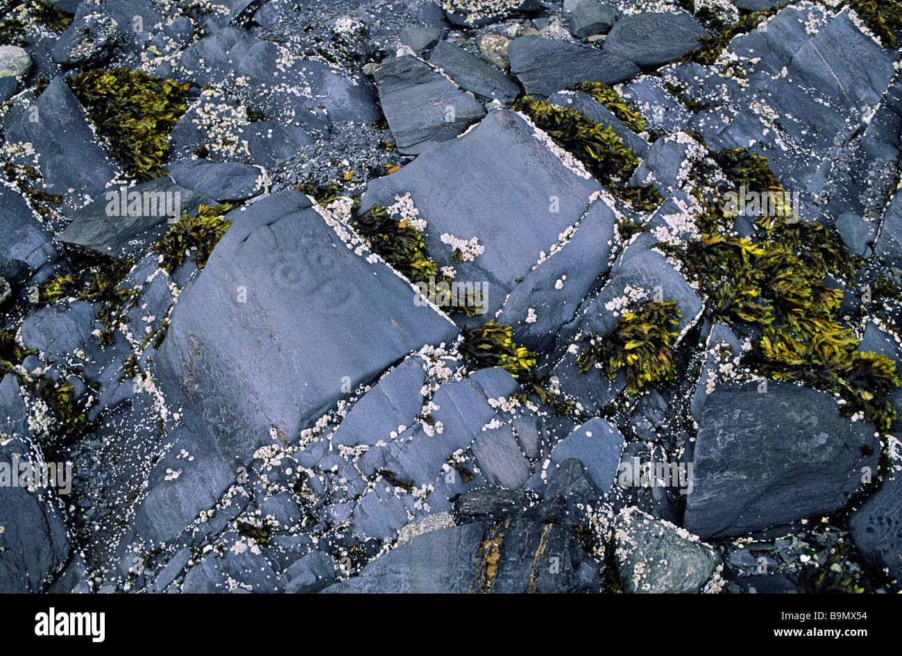 Kanada, British Columbia, Inside Passage, in der Nähe von Port Hardy, indianische Felszeichnungen Stockfoto