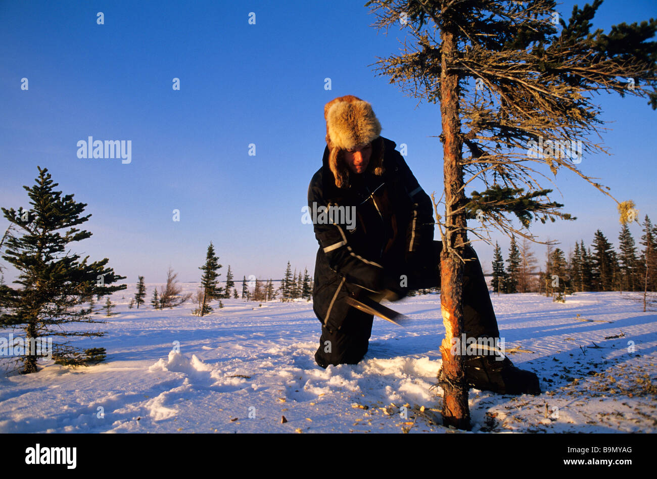 Kanada, Provinz Quebec, James Bay, in der Nähe von Eastman Dorf, Holz Stockfoto