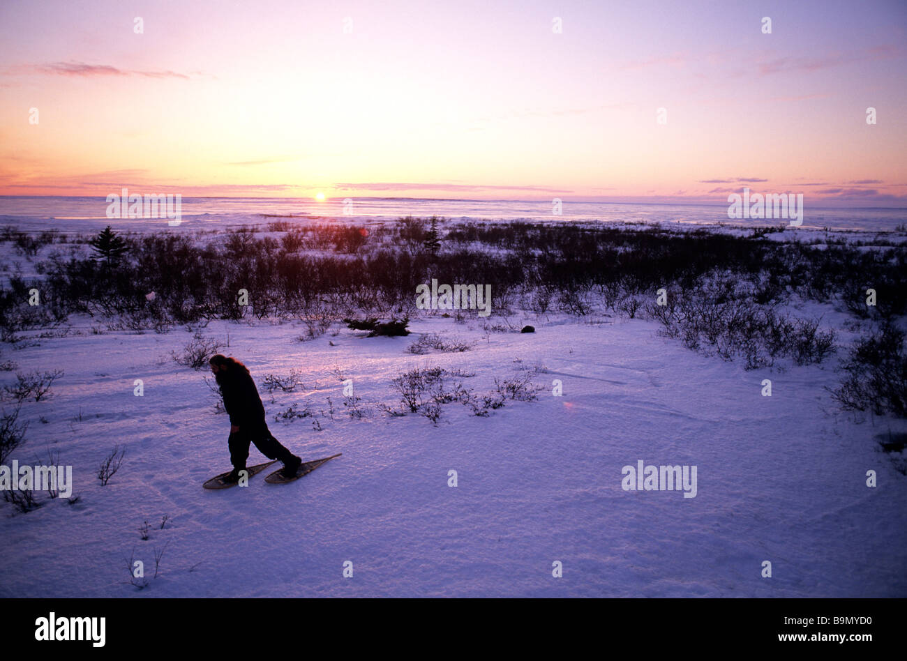 Kanada, Provinz Quebec, James Bay, Radisson Dorf Ende des Tages, auf dem Weg zurück auf Schneeschuhen Stockfoto