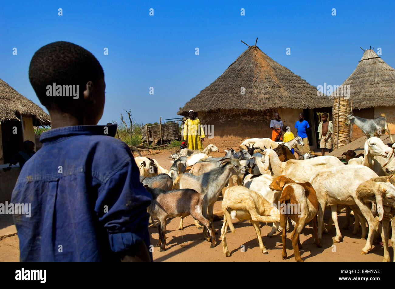 Senegal, Tambacounda Region, Teinthoto, Dorf der ethnischen Gruppe der Mandinka Stockfoto