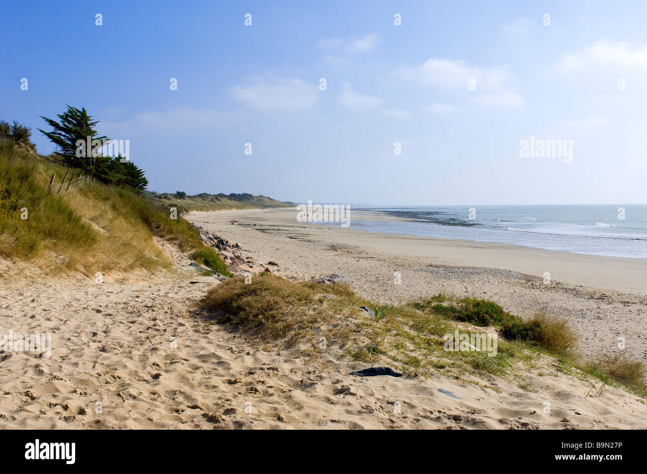 Frankreich, Charente Maritime, Ile de Re, La Couarde Sur Mer Strand Stockfotografie Alamy Frankreich, Charente Maritime, Ile de Re, La Couarde Sur Mer Strand Stockfotografie Alamy