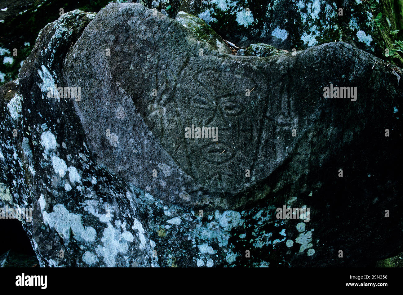 Trois Rivieres, Parc des Roches Gravees (Graved Steinen Park), Petroglyphen, Basse-Terre, Guadeloupe (Französische Antillen), Frankreich Stockfoto