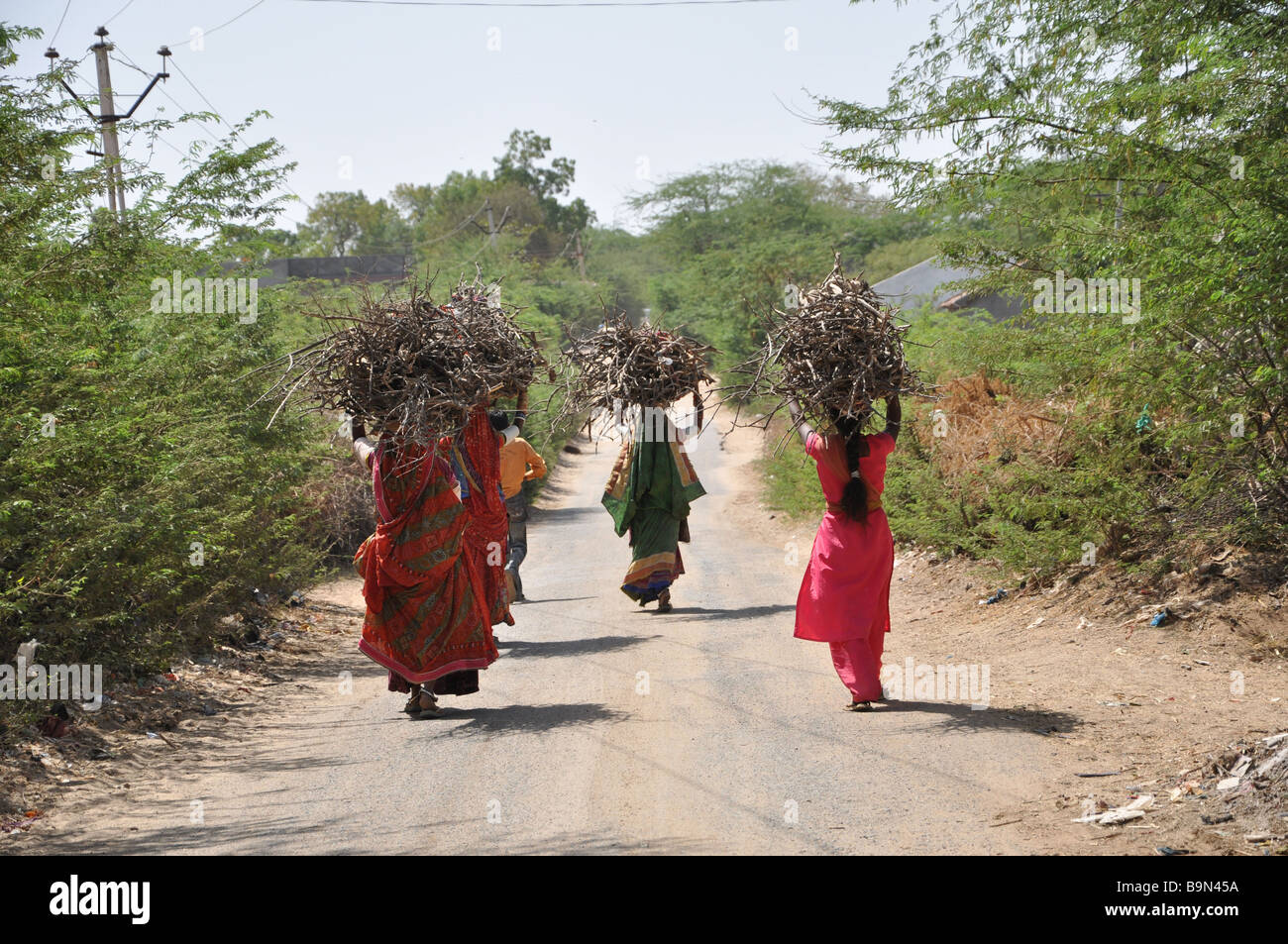Adivasi Frauen nach Hause laufen. Gujarat, Indien Stockfoto