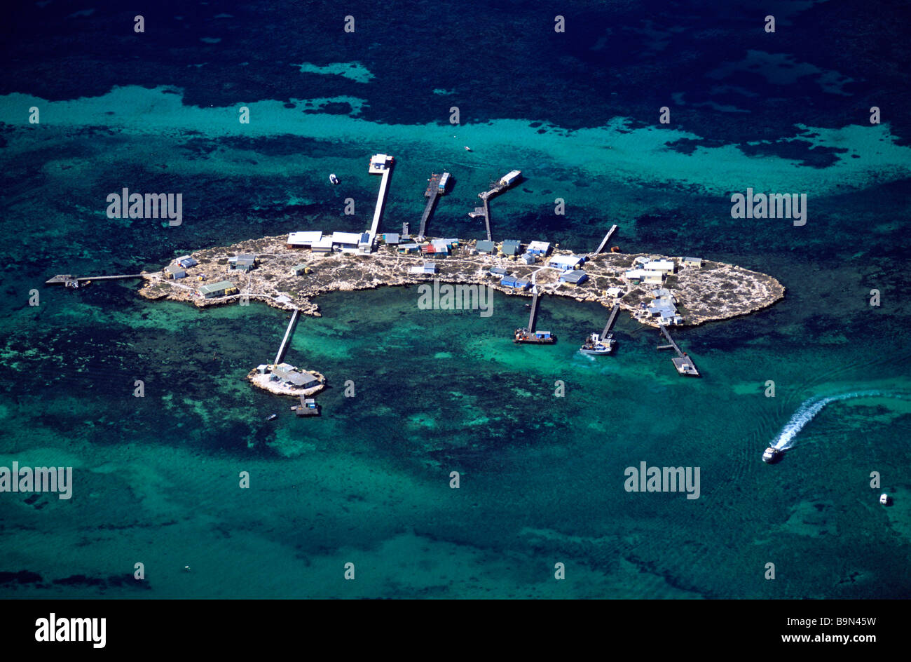 Australien, Western Australia, südlich von Kalbarri, Insel Abrolhos, pearl Farm, wo Mütter von Pearl (Pintada Maxima) Stockfoto