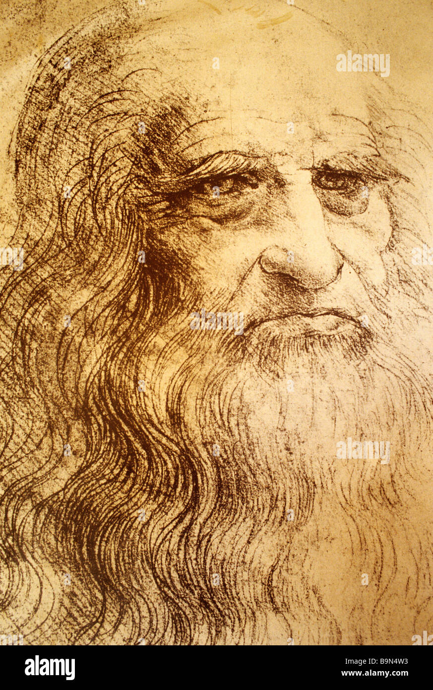 Frankreich, Indre et Loire, Amboise, Le Clos Luce Burg, Leonardo Da Vinci Park (Leonardo Da Vincis letztes Haus), Reproduktion Stockfoto