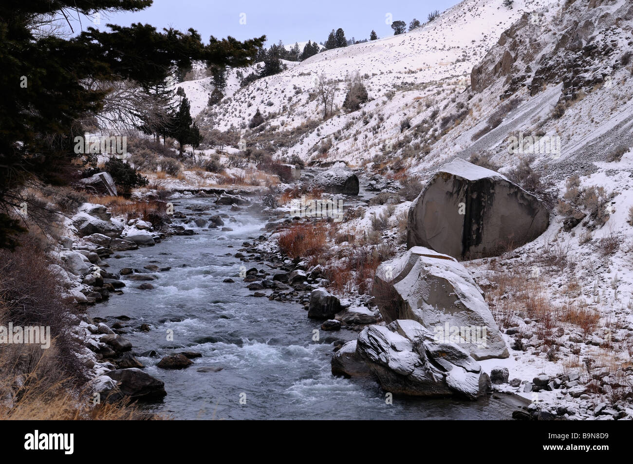 Gardner River im Yellowstone-Nationalpark Montana im Morgengrauen nach einer leichten Schneefall Stockfoto