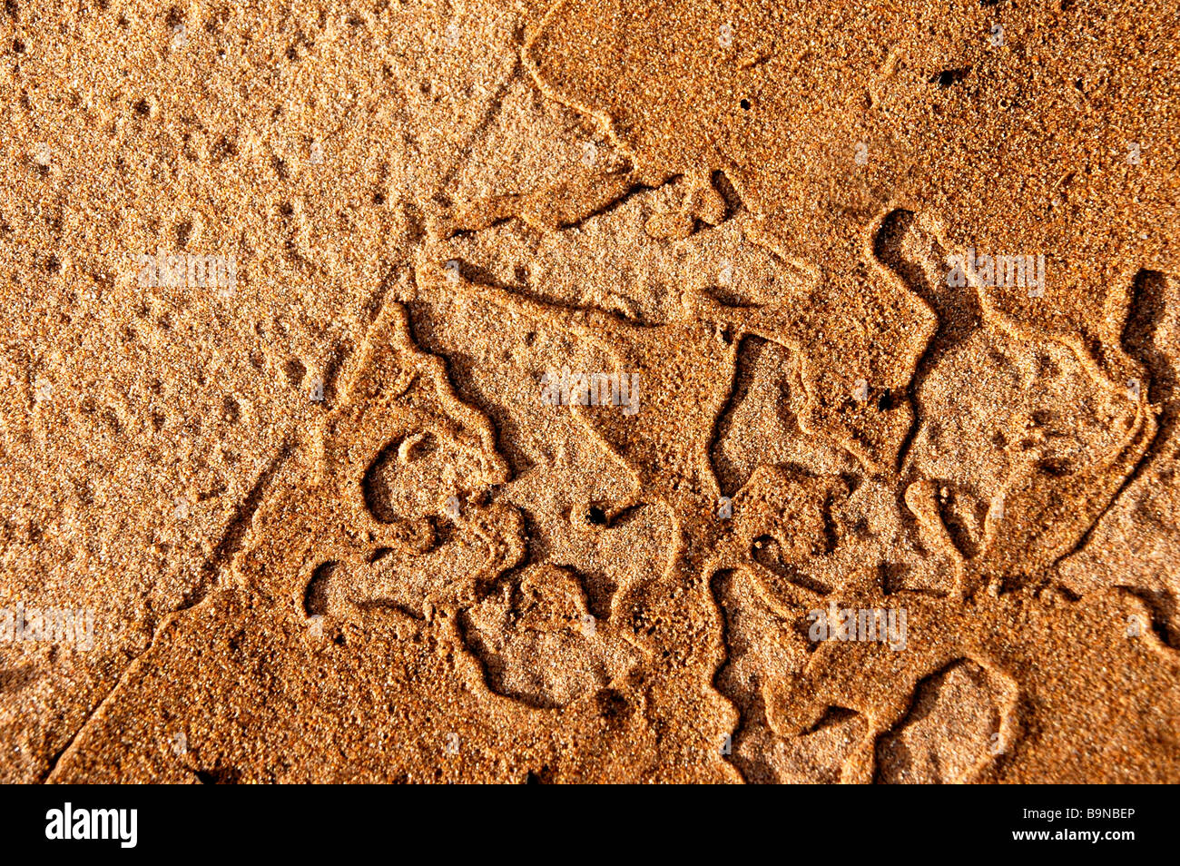 Wellenlinie Sand Muster durch eine gerade Linie abgeschnitten. Stockfoto