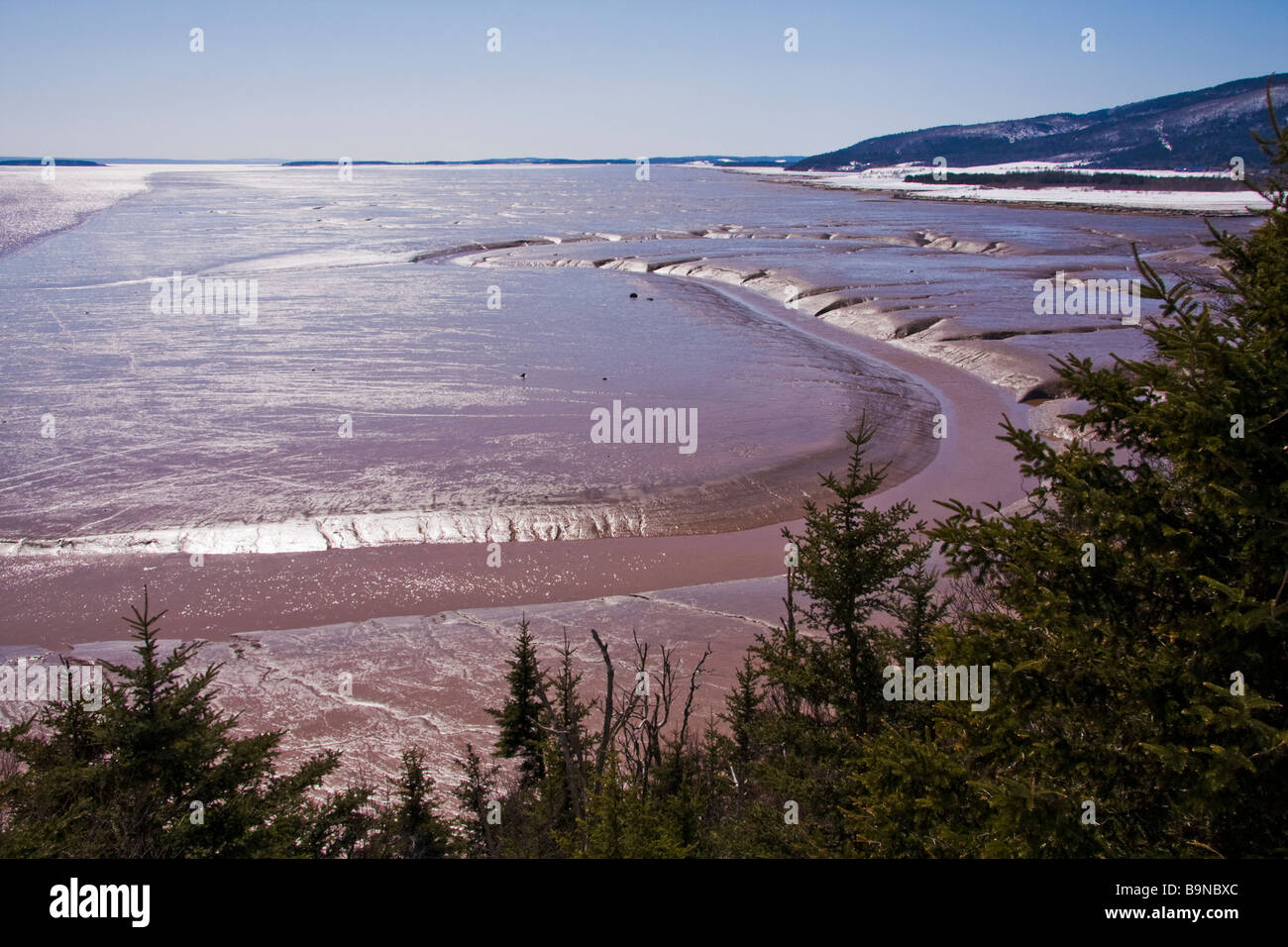 Meeresboden in der Nähe von Hopewell Rocks - Bay Of Fundy, New Brunswick, Kanada Stockfoto