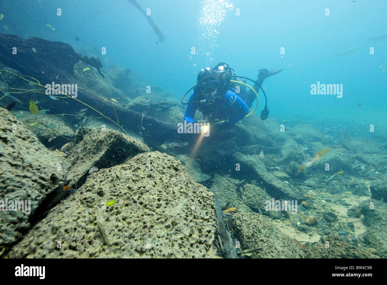 Taucher Unterwasser Prata Fluss Bonito Mato Grosso do Sul Brasilien Stockfoto