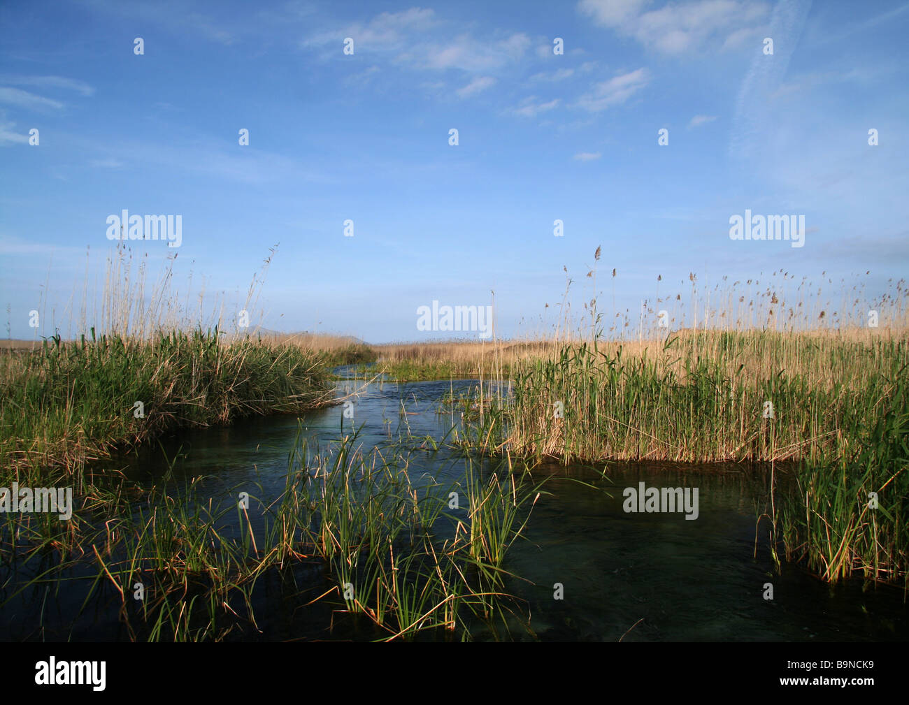 Parc Natural sÁlbufera de Mallorca Stockfoto