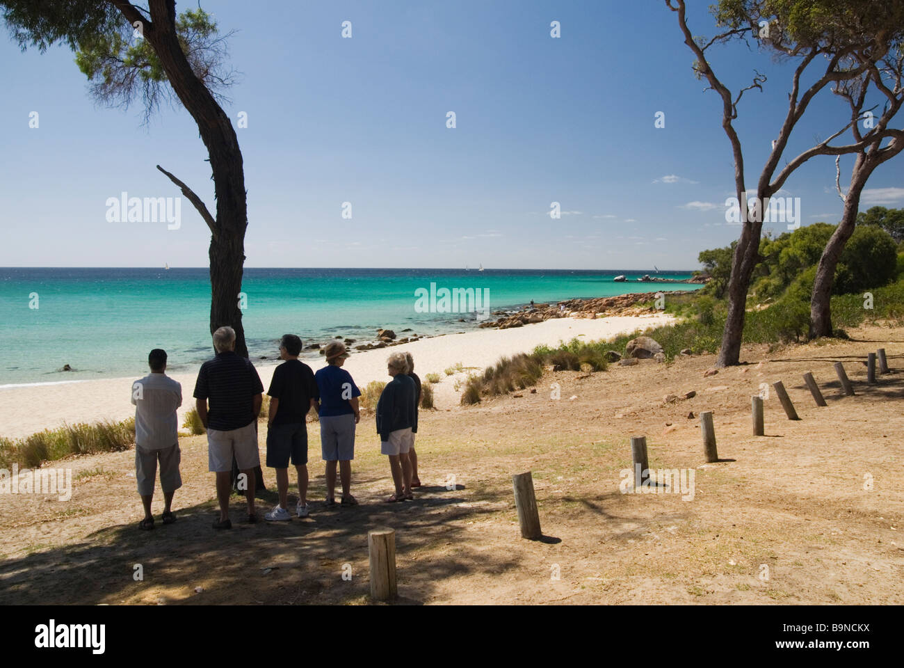 Menschen stehen im Schatten eines Baumes in der Nähe von einem Strand in Australien Stockfoto