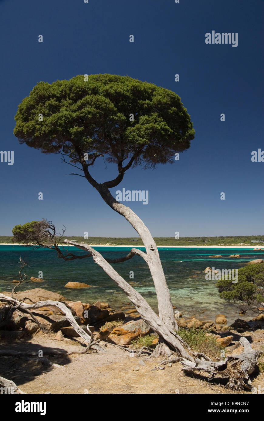 Bunker Bay Küste, Cape Naturaliste, Western Australia Stockfoto