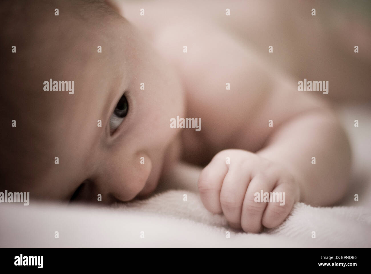 Baby auf Bauch liegend Stockfoto