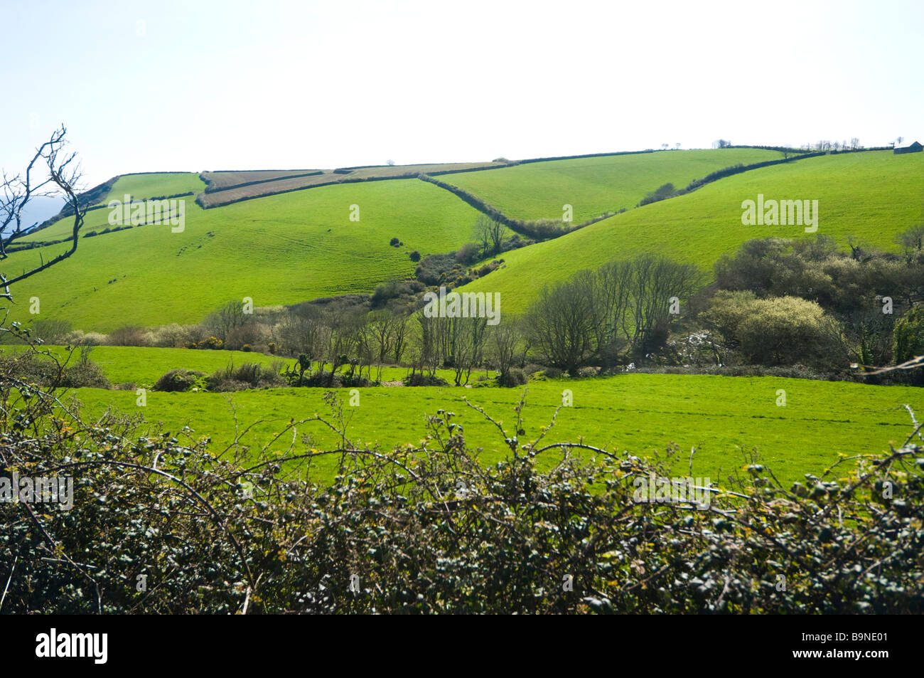 Cornwall UK Stockfoto