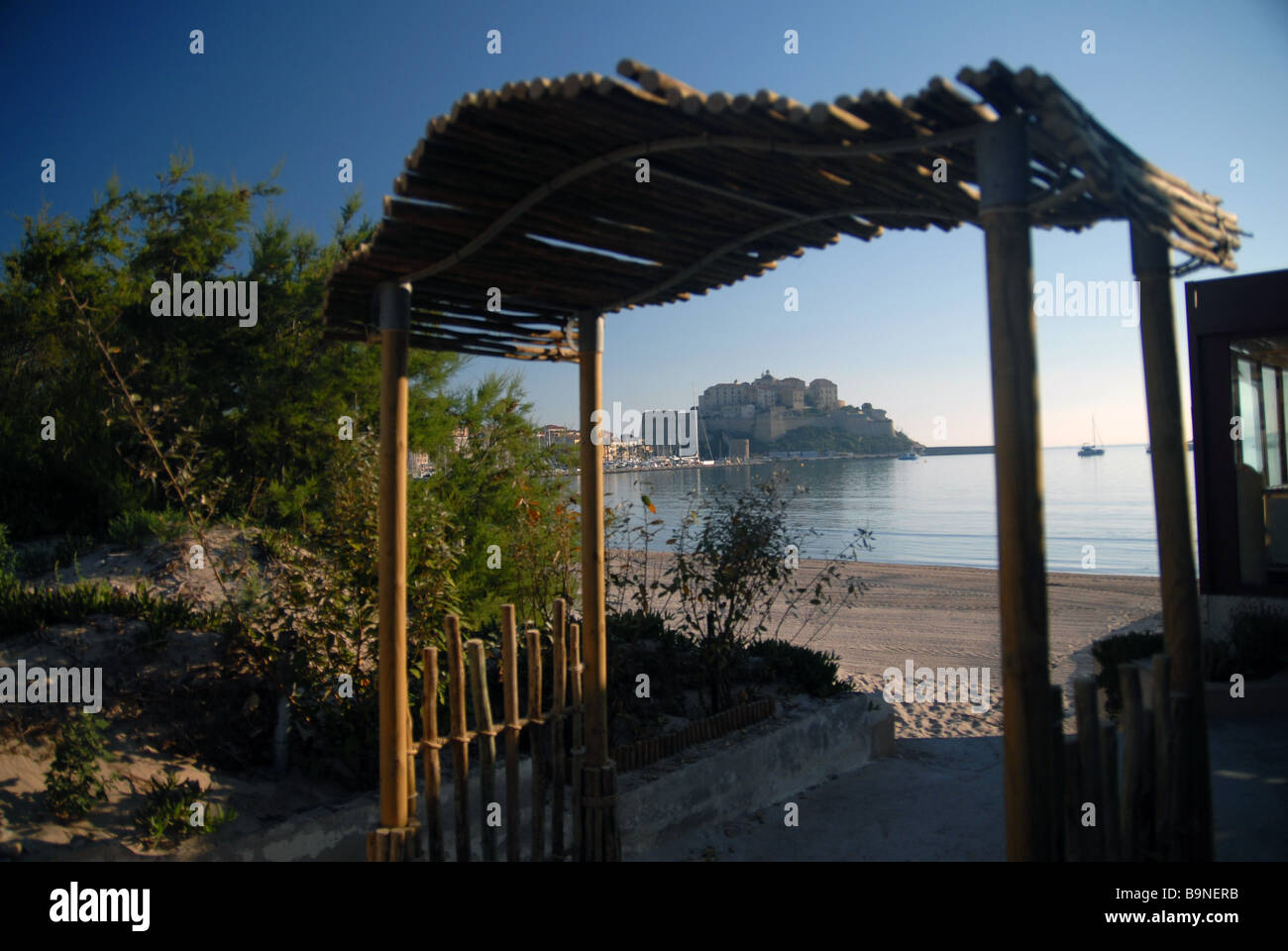 Die Strandpromenade mit der Zitadelle von Calvi im Hintergrund Calvi, Korsika, Frankreich. Stockfoto