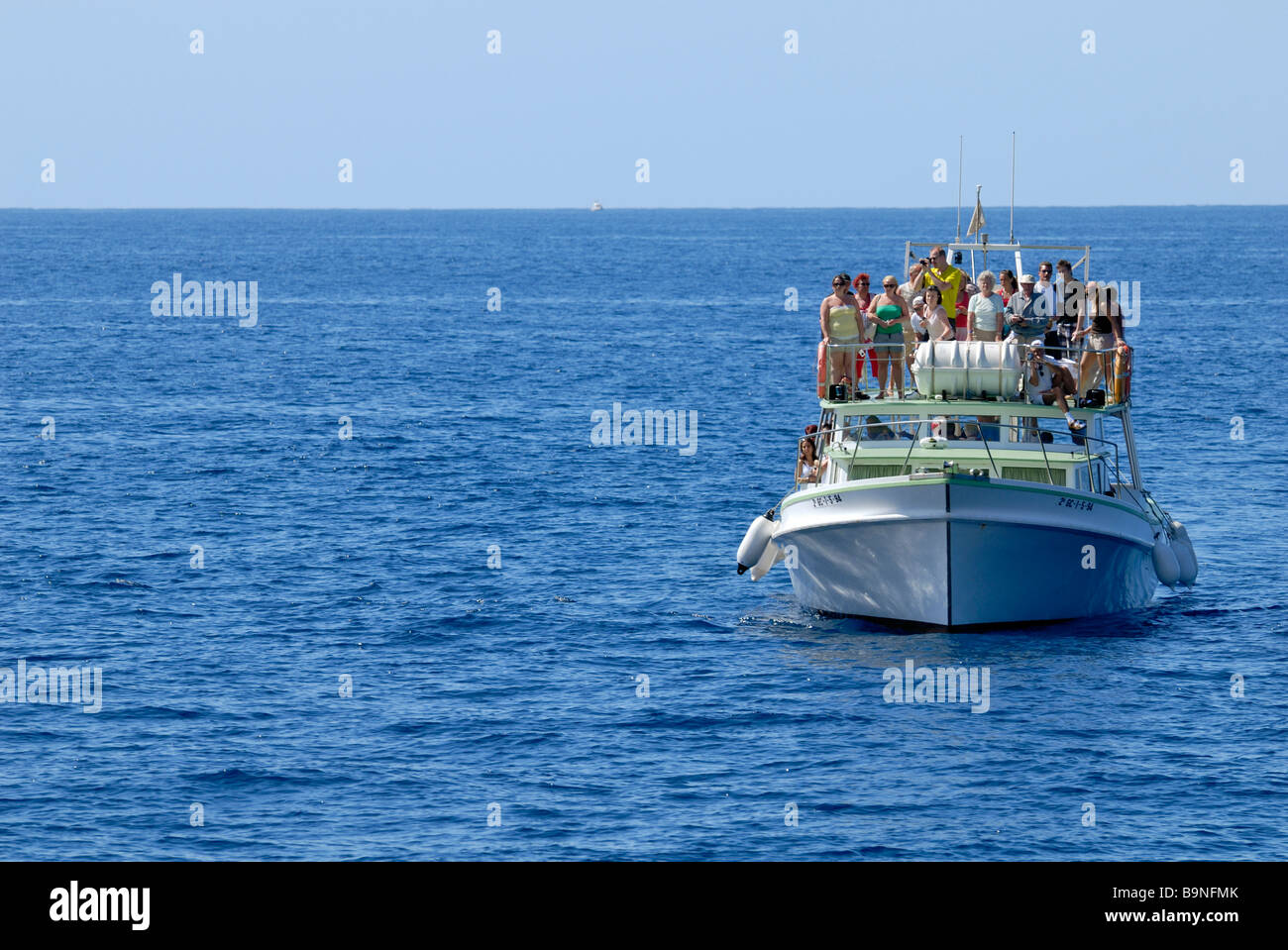 Die Exciment unter den Touristen auf dem Delphin Suche Boot, Puerto Rico, Gran Canaria, Kanarische Inseln, Spanien, Europa. Stockfoto