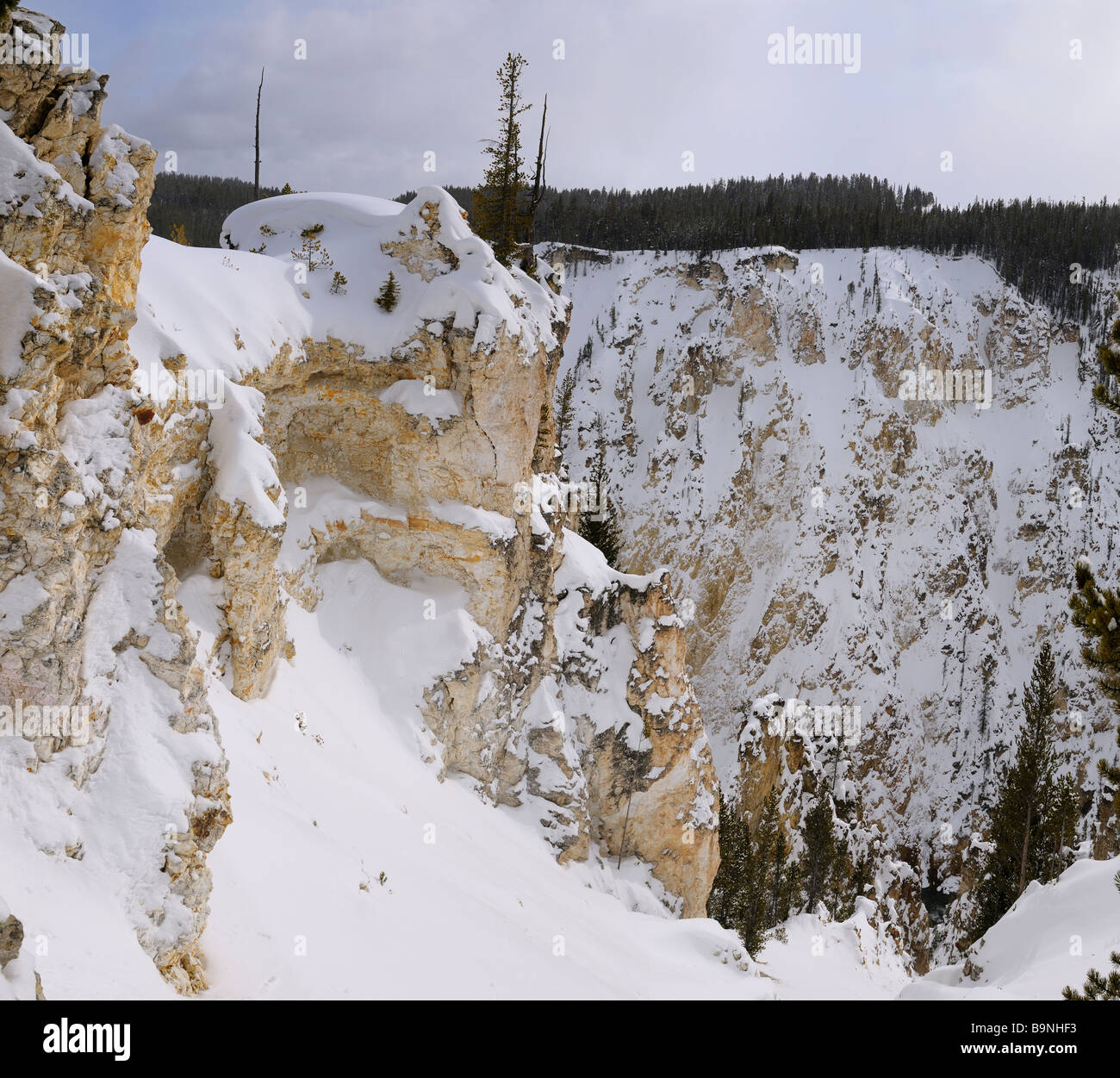 Ausgewaschene Rost roten und gelben Felsen im Grand Canyon des Yellowstone im winter Stockfoto