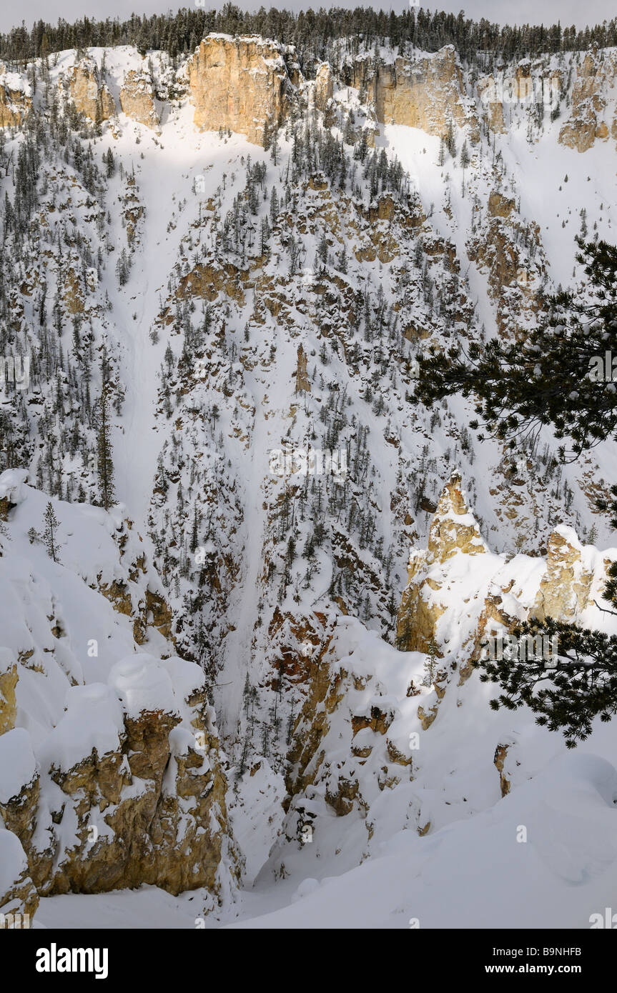 Steile ausgewaschene gelben Felsen und Hoodoos im Grand Canyon des Yellowstone im winter Stockfoto