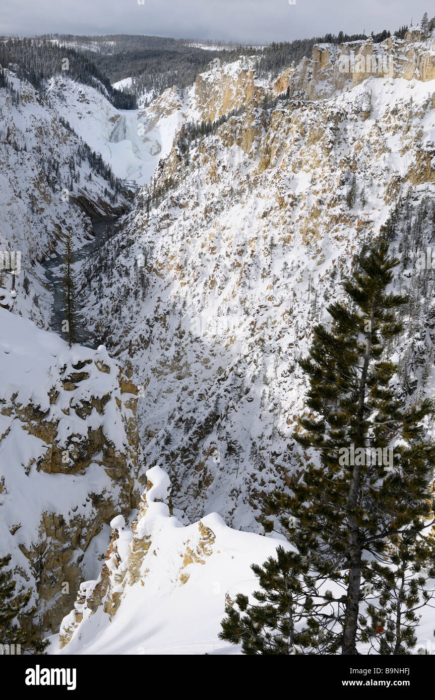 Spektakulären Grand Canyon des Yellowstone im Winter mit den eingefrorenen Lower Falls Yellowstone-Nationalpark Wyoming USA Stockfoto