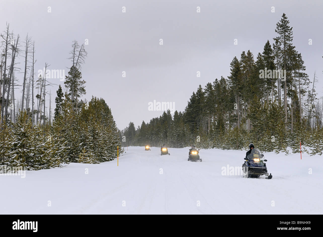 Touring Schneemobilfahrer auf Norris Canyon Road in Yellowstone National Park in Wyoming USA im winter Stockfoto