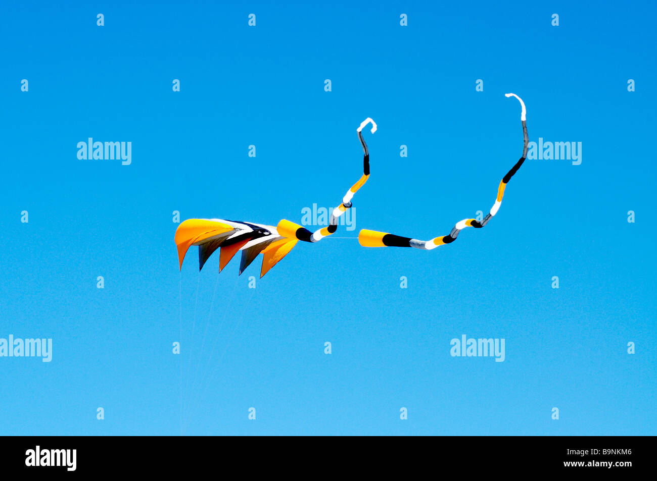 Große gestreifte [Schlitten Drachen] mit Luftschlangen gegen strahlend blauen Himmel fliegen Stockfoto