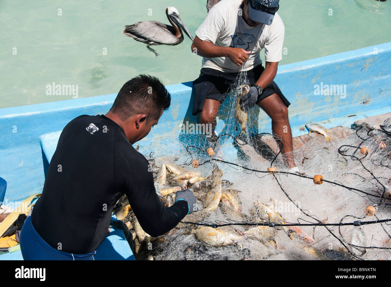 Mexiko Yucatan 2009 Puerto Morelos Fischer nutzen Stellnetze, Riff-Fische zu fangen Stockfoto