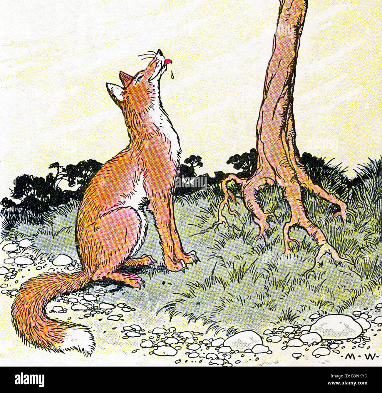 Der fuchs hahn Fotos und Bildmaterial in hoher Auflösung Alamy