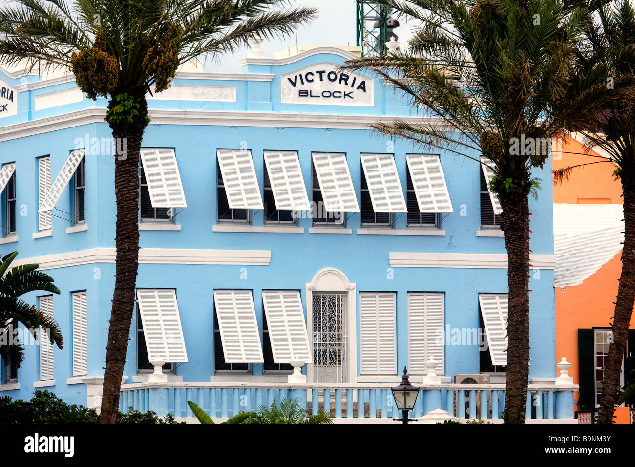Ansicht eines Gebäudes durch Palmen Bäume Front Street Hamilton Bermuda Stockfoto